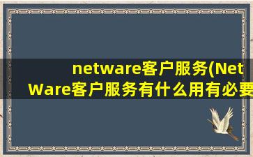 netware客户服务(NetWare客户服务有什么用有必要安装吗卸载了有没有影响)
