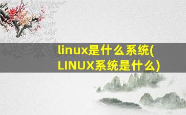 linux是什么系统(LINUX系统是什么)